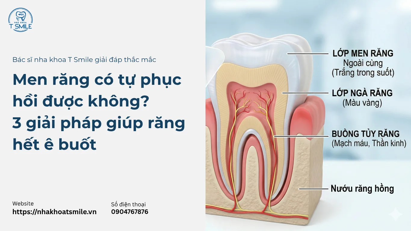 men răng có tự phục hồi không